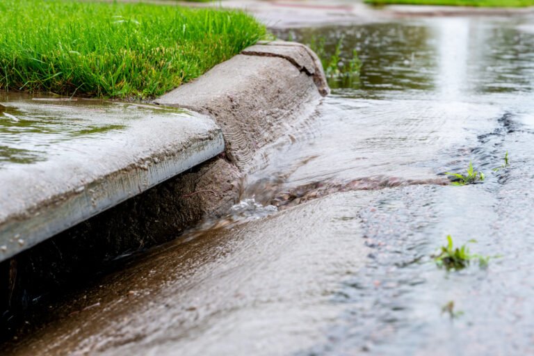 infiltration des eaux pluviales