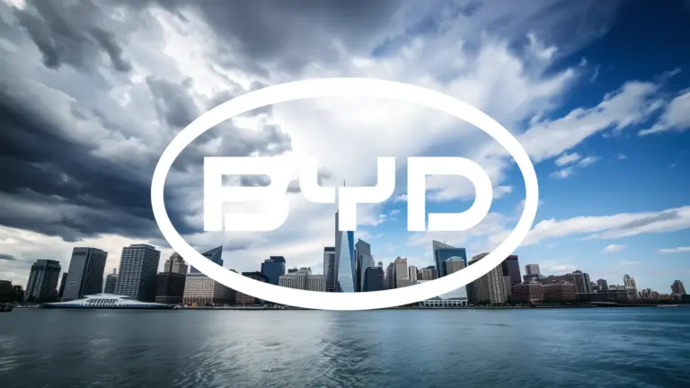 Logo et informations de BYD