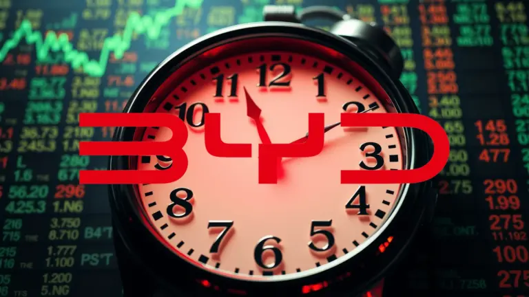 Logo et informations de BYD