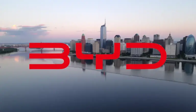 Logo et informations de BYD