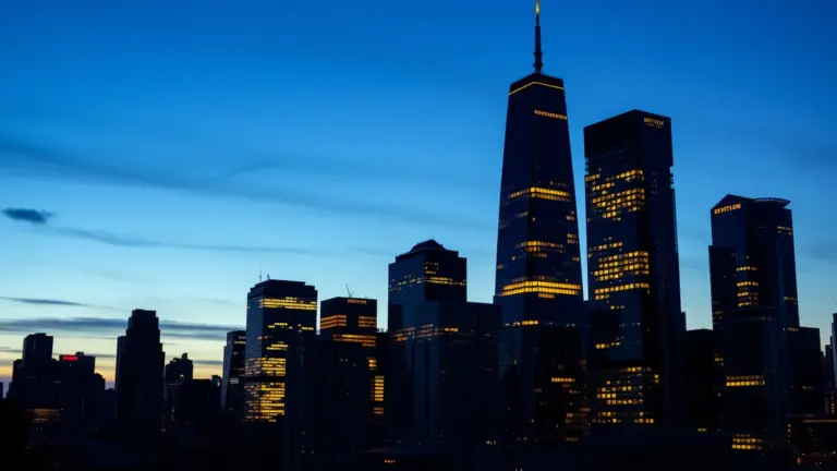 Logo et informations de Imalliance