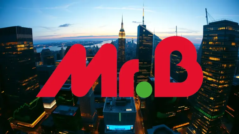 Logo et informations de Mr Bricolage