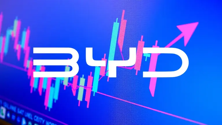 Logo et informations de BYD