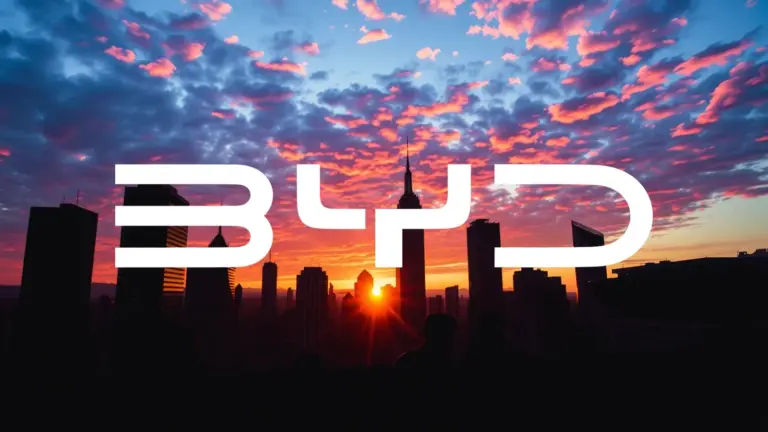 Logo et informations de BYD
