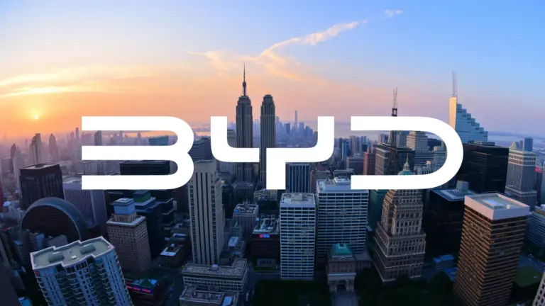 Logo et informations de BYD